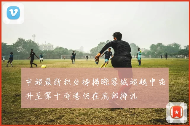 中超最新积分榜揭晓蓉城超越申花升至第十海港仍在底部挣扎