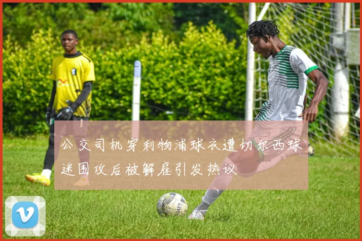 公交司机穿利物浦球衣遭切尔西球迷围攻后被解雇引发热议